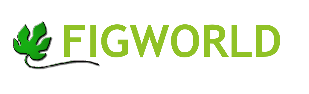 FigWorld